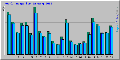 Hourly usage for January 2016