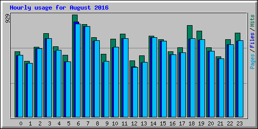 Hourly usage for August 2016